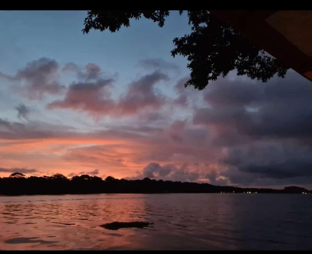 Casa Marbella Villa Tortuguero Ngoại thất bức ảnh
