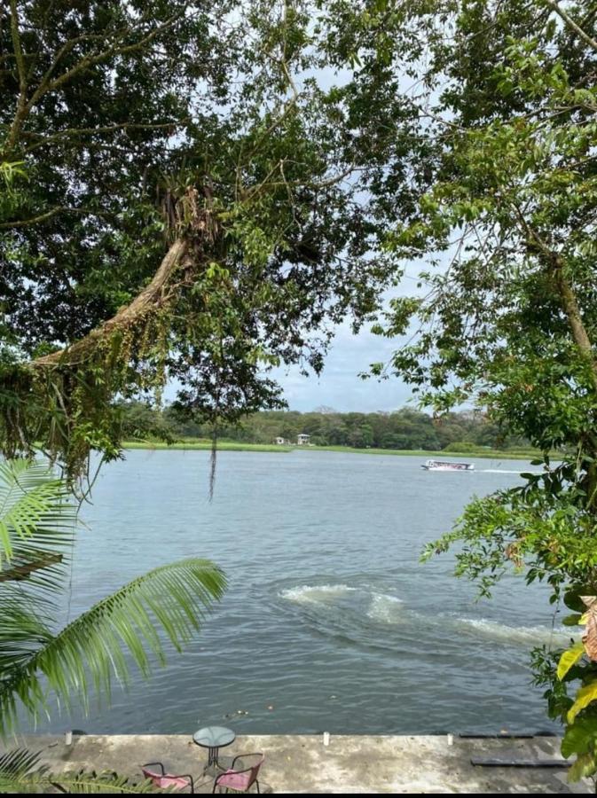Casa Marbella Villa Tortuguero Ngoại thất bức ảnh