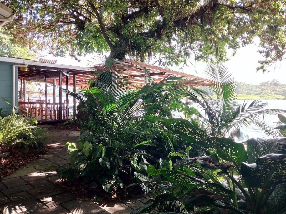 Casa Marbella Villa Tortuguero Ngoại thất bức ảnh